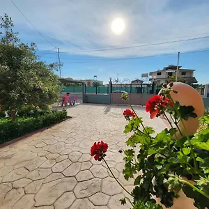 Orange , Vlorë Albania